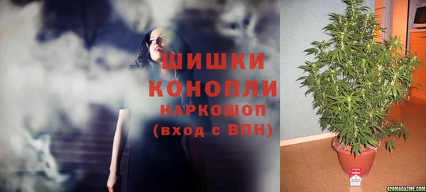 твердый Кодинск