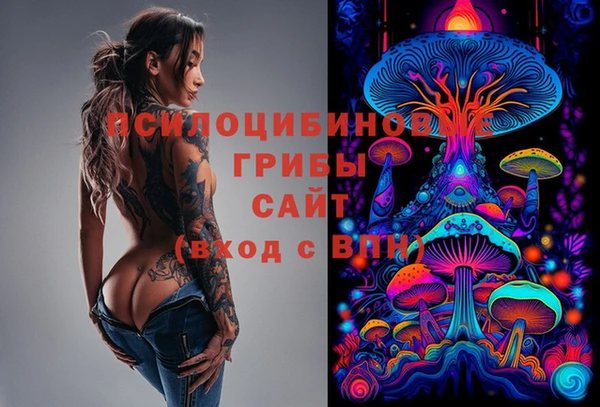твердый Кодинск