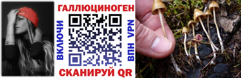 Галлюциногенные грибы Magic Shrooms Купить закладки Дивногорск