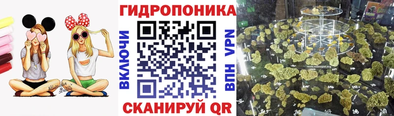 Купить где  Дивногорск  Бошки Шишки White Widow 